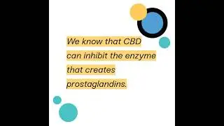 CBD & Cramps with Dr. Jessica Knox | HOW TO DO THE POT Podcast