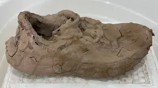 Extremely Dirty Shoes Cleaning | Dry Mud Removal & Deep Shoe Wash ASMR 