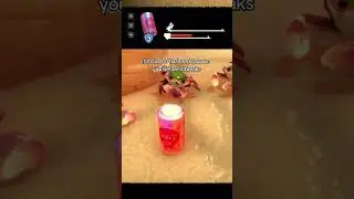 HOW SHELLS WORK