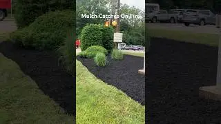 Mulch Catches On Fire 🔥 😳 #mulch #landscape #fire #lawncare #grass #mowing #business