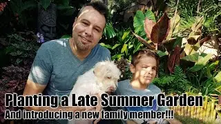 Planting a Late Summer Garden... and Introducing a New Family Member!!!