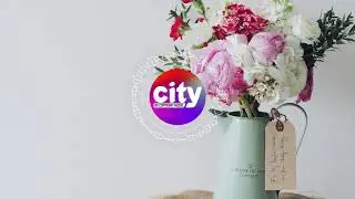 Dynemo - Daylight | City - No Copyright Music