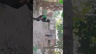 #comedy #cricket #comedy