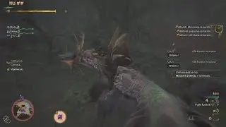 Monster Hunter Wilds PS5 ( Team Dragon X vs Serenata dell'acqua )