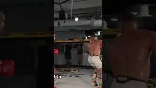Alex Pereira throws spin back kick. Accurate, controlled