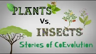 Plants vs. Insects, Episode 6: Stories of CoEvolution