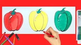 How to Draw Bell Pepper Easy