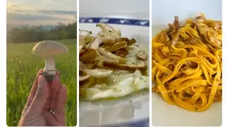 Funghi Prugnoli dalla raccolta alla tavola