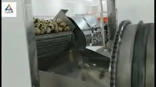 China production line of quail egg peeling machine