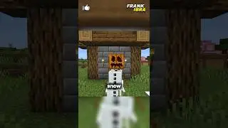Snow Golem yang Menganggap Player Sebagai Keluarga #minecraft