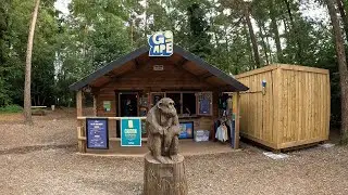 Go Ape, Haldon Forest, July 2024