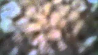 Firing AirSoft
