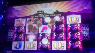 Aristocrat -  5 Buffalo - SUPER WIN - SugarHouse Casino - Philadelphia, PA