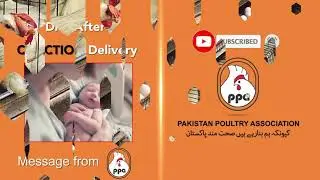 Diet after C-section Delivery: PAKISTAN POULTRY ASSOCIATION Message: