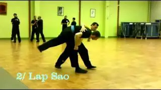 Kung Fu Wing Chun - Techniques de projections