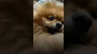 🦊ПОДПИШИСЬ, здесь много полезного контента!