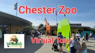 Chester Zoo | Virtual Tour | #chesterzoo #zoo #zootour