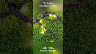 LED string lights for outdoor decoration #gardendecor #gardenlights #festivaldecor #christmaslights