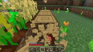 Minecraft Vanilla EP 5 Primi interni della casa