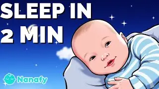 WILD! 2 MINUTES TO FALL ASLEEP | baby sleep music