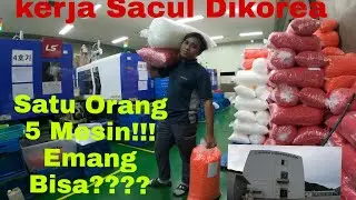 Kerja Di pabrik Sacul Korea Selatan