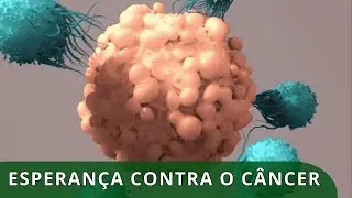 Uma nova esperan&ccedil;a: aprovado o 1&ordm; tratamento contra o c&acirc;ncer resistente