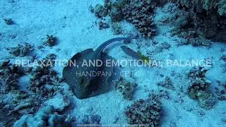 Relaxing And Emotional Balance | Handpan & Cello | NeuroMusicLab