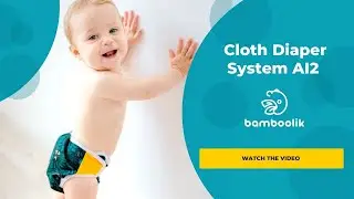 Cloth Diapers: AI2 (All-in-2) Diaper System