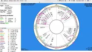 Scorpio Full Moon for Twin Flames 2020: Becoming our best selves, one step at a time
