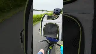 Tandem Biking: Boris on Board! #alaska #biking