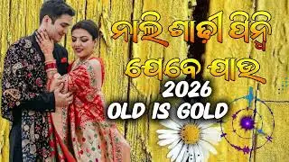 Nali Saree Pindhi Jebe Jau II Odia Love Song ll Odia Old Song Nali Saree ll Full Song