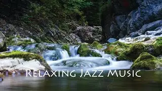 3hrs Relaxing Jazz Music for Sleep, Relaxation | Beautiful Sound | Muzik Tune INN