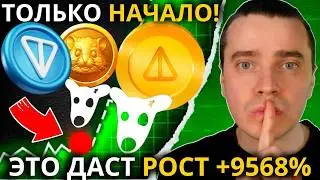 ⚠️НАЧАЛОСЬ! ЭТОТ ХАЙП ДАСТ СТАРТ ДЛЯ РОСТА +9568%⚠️DOGS, NOTCOIN, HMSTR, TONCOIN, СТИКЕРЫ, ПОДАРКИ!