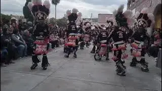Danzeros Rio Florido zacatecas en temastian jalisco buenos amigos