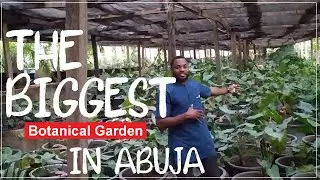 The Biggest Botanical Garden in Abuja, Nigeria