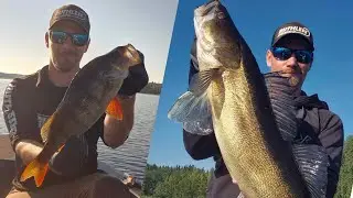 PERUSPAIKAT PETTI! ONNISTUNUT KALASTUSP&Auml;IV&Auml;, ISO HAUKI, AHVEN JA KUHA!