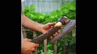 Rare 120 Year Old Hewing Axe Restoration #shorts
