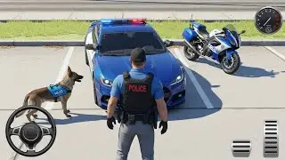 Police Car Crashes During Thief Chase!
