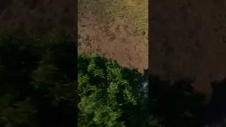 Can the DJI Avata 2 RIP in Manual Mode?