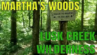 Martha's Woods Natural Area in the Lusk Creek Wilderness