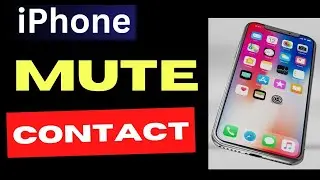 Mute or Unmute Contact on iPhone