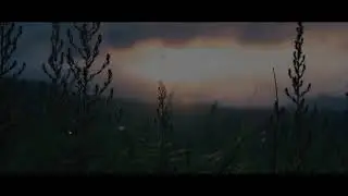 nature with music track. HD 30 second whatsapp status video