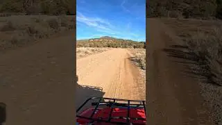 Sunday Cruise on the Yamaha Timberwolf #atv #quads #yamaha #fyp #riding #shorts #trailriding #sunday