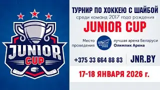 17.01.2026. JC. 2017. М5. Динамо-Джуниверс-1 - ProHockey