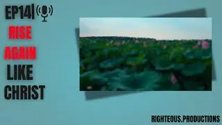 Fall seven times. Rise eight | Ep.14