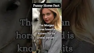 Fun, Strange, and Crazy Horse Facts! From @ShortFactWizard