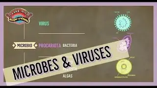 What Are Microbes and Viruses?👾| Animated Science Song for Kids