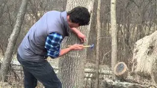 UVM SEED Team 15: Ohmic Maple Syrup Boiler