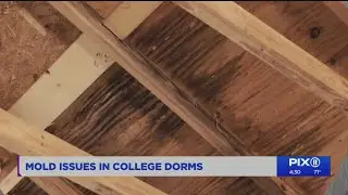 Mold in college dorms