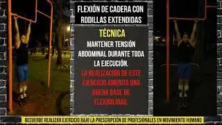 Flexiones de cadera con rodillas extendidas
